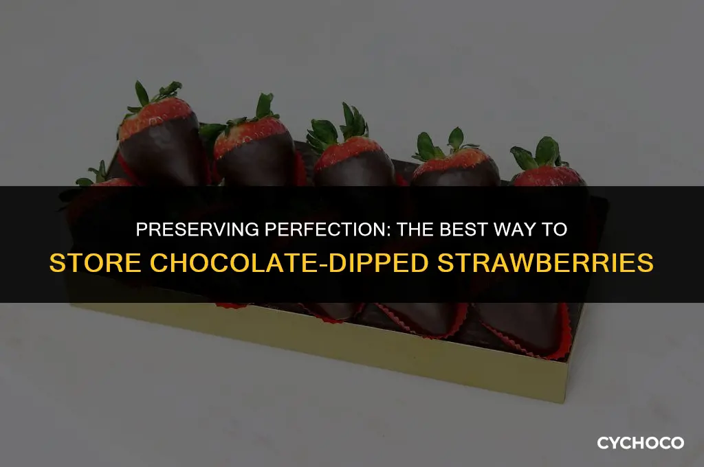 how to store chocolate covered strawberries after dipping