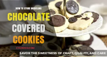 Preserving Perfection: Storing Modeling Chocolate Covered Cookies