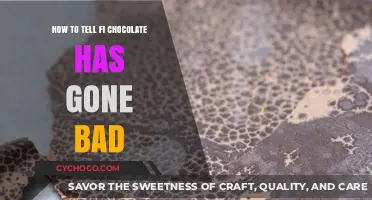 Decoding Chocolate Quality: Signs Your Sweet Treat Has Spoiled