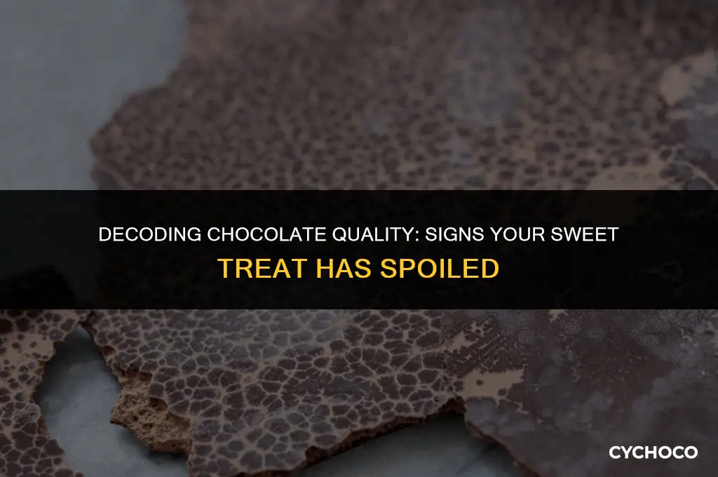 how to tell fi chocolate has gone bad