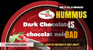 Decoding Chocolate Hummus: Signs It's Past Its Prime