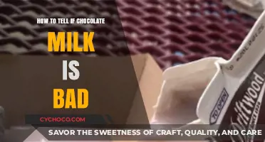 Spoiled or Safe: The Signs Your Chocolate Milk Has Gone Bad