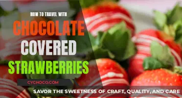 Sweet Journey: Transporting Chocolate-Covered Strawberries with Care