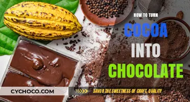 From Bean to Bar: The Art of Transforming Cocoa into Chocolate