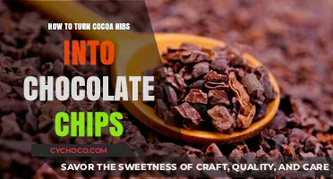 From Nib to Chip: The Journey of Cocoa Transformation
