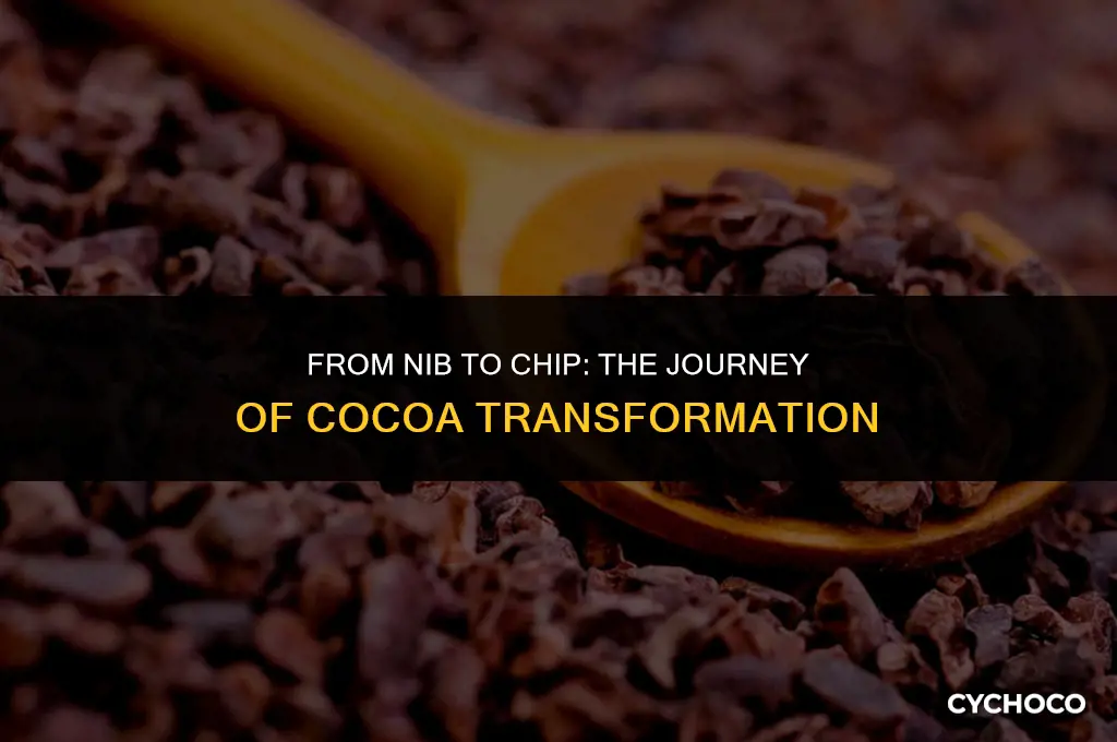 how to turn cocoa nibs into chocolate chips