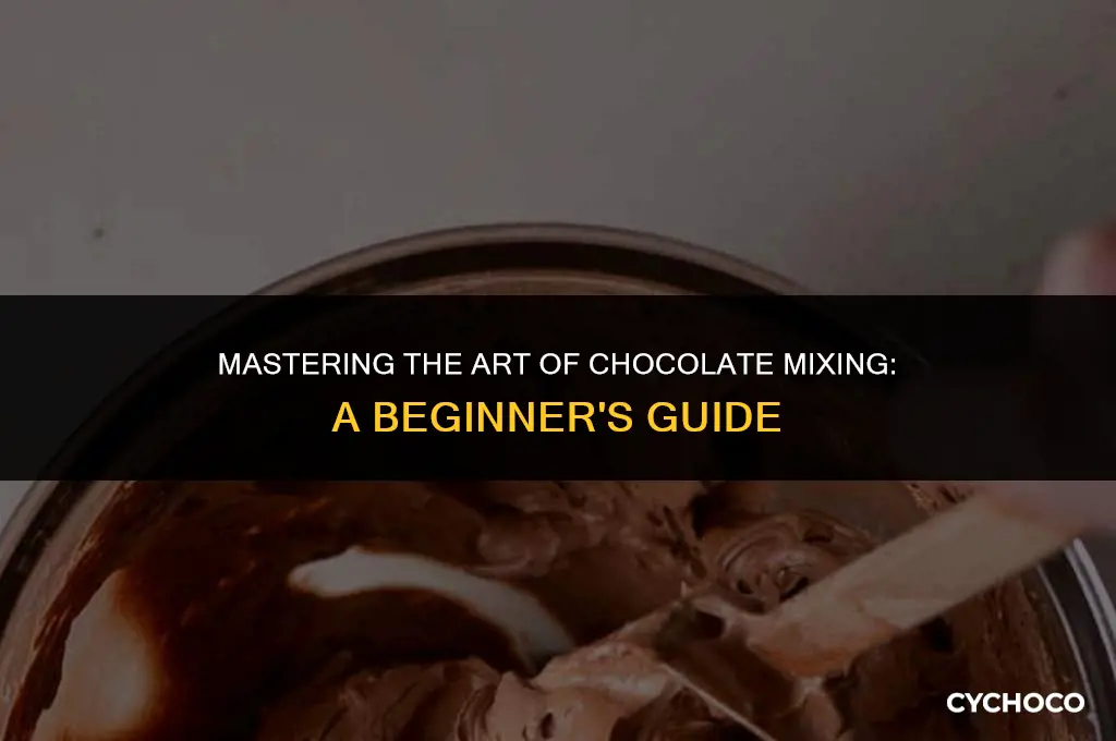 how to use a chocolate mixer