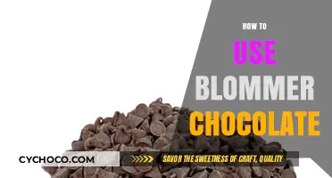 Sweet Blommer Creations: Mastering the Art of Chocolate Crafting
