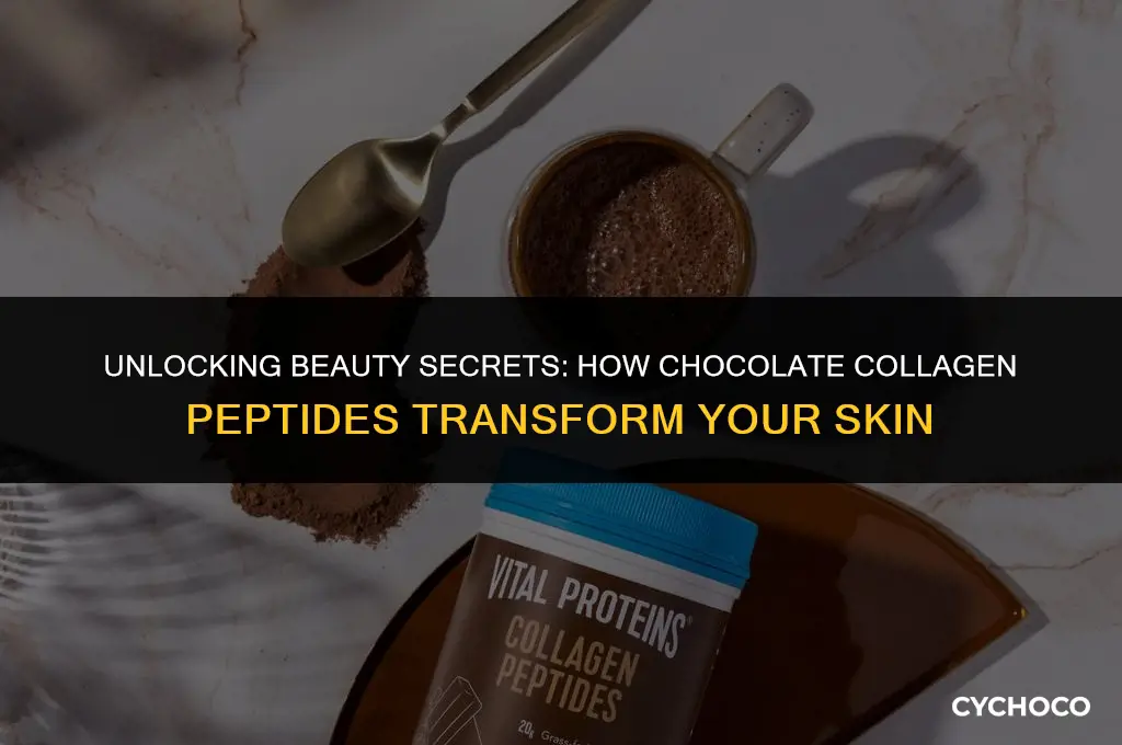 how to use chocolate collagen peptides