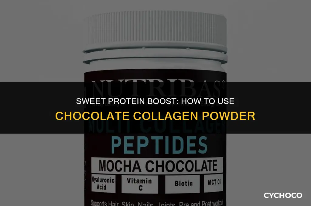how to use chocolate collagen powder