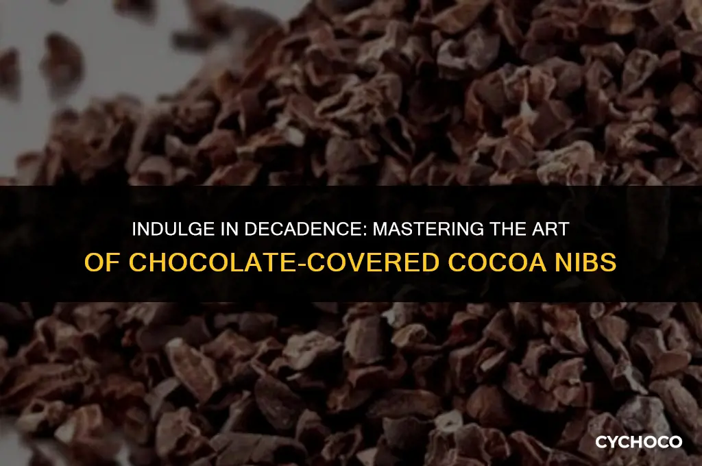 how to use chocolate covered cocoa nibs