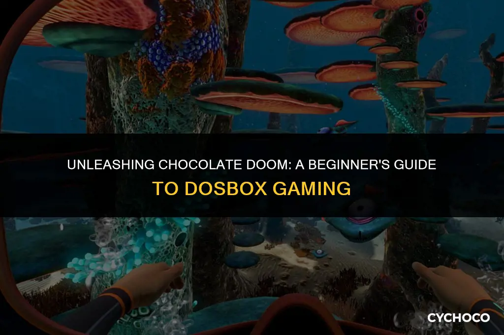 how to use chocolate doom in dosbox