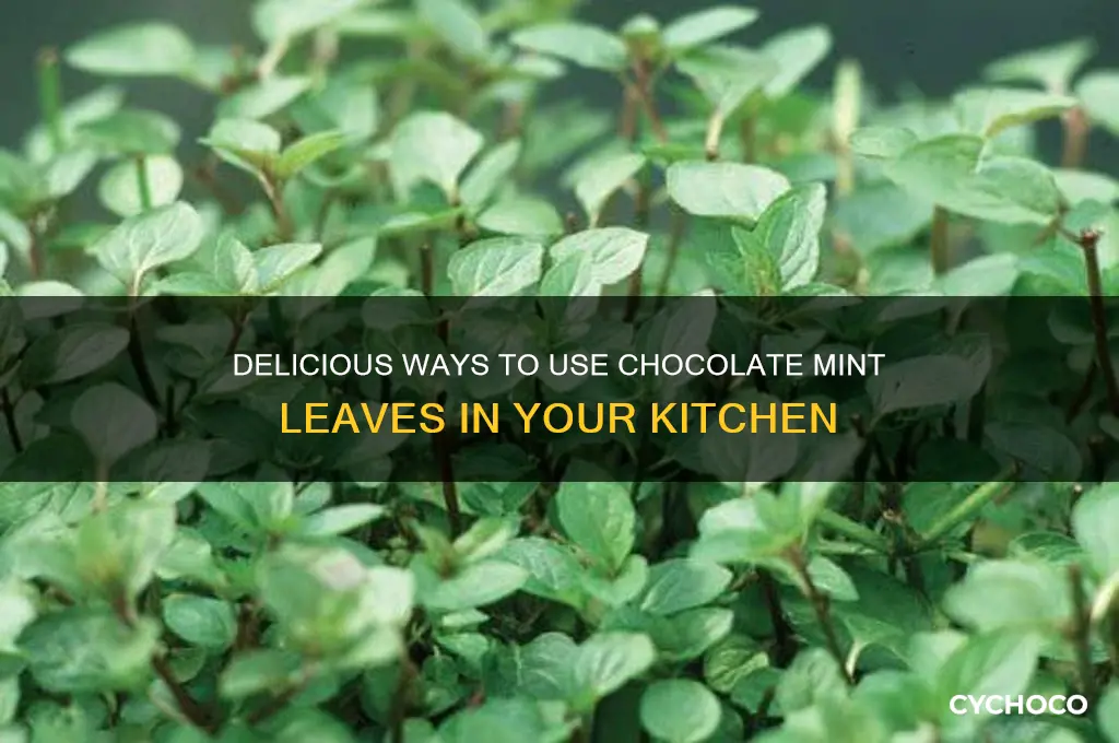 how to use chocolate mint leaves