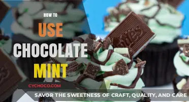 Creative Ways to Use Chocolate Mint in Recipes and Drinks