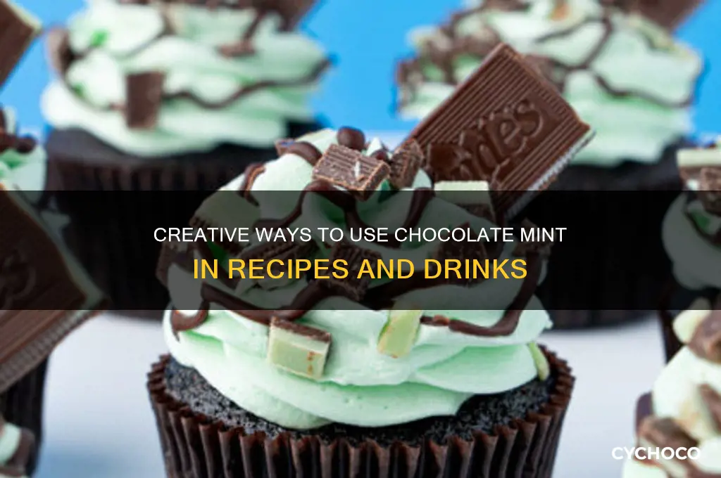 how to use chocolate mint