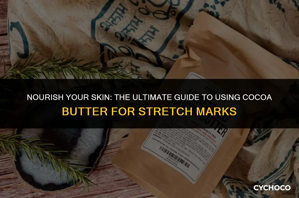 how to use cocoa butter stretch marks