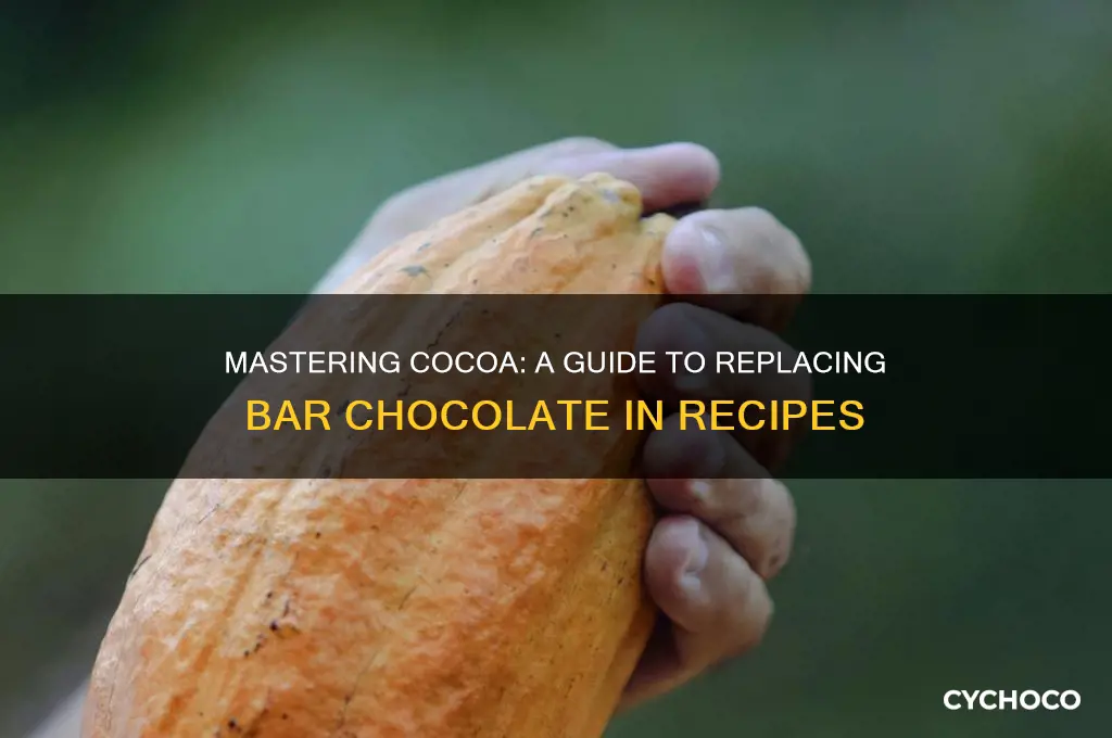 how to use cocoa instead of bar chocolate