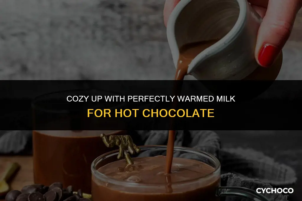 how to warm up milk for hot chocolate