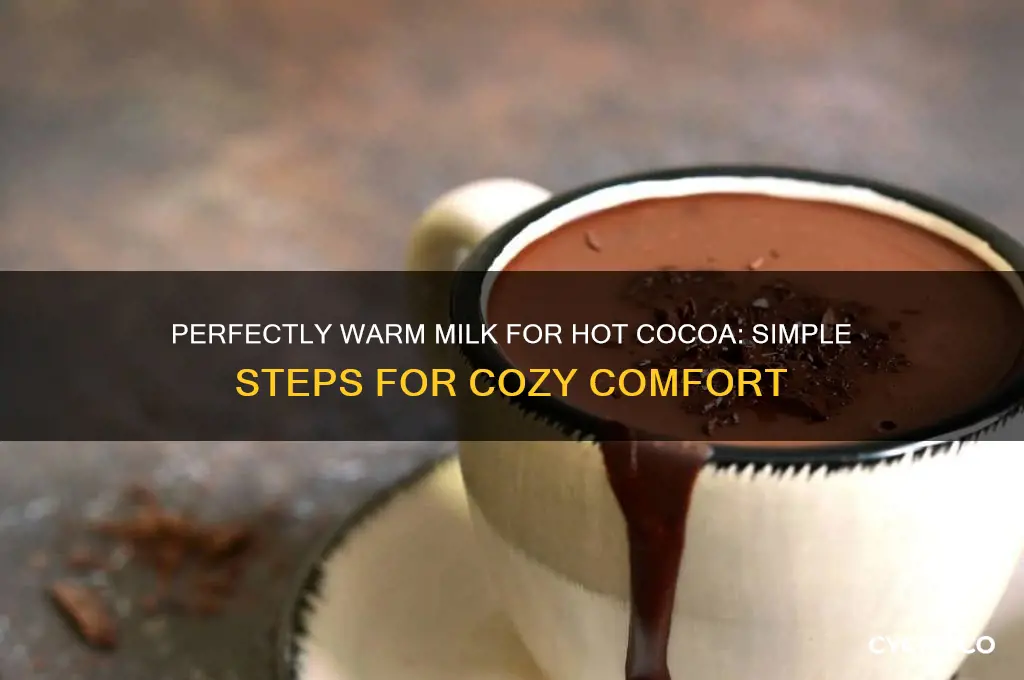 how to warm up milk for hot cocoa