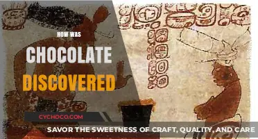 Unveiling the Sweet Mystery: The Ancient Origins of Chocolate