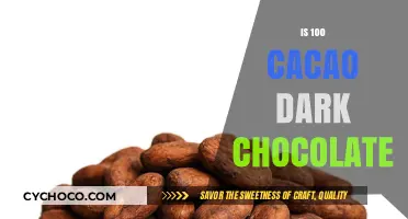 Exploring the Richness of 100% Cacao Dark Chocolate: A Connoisseur's Guide