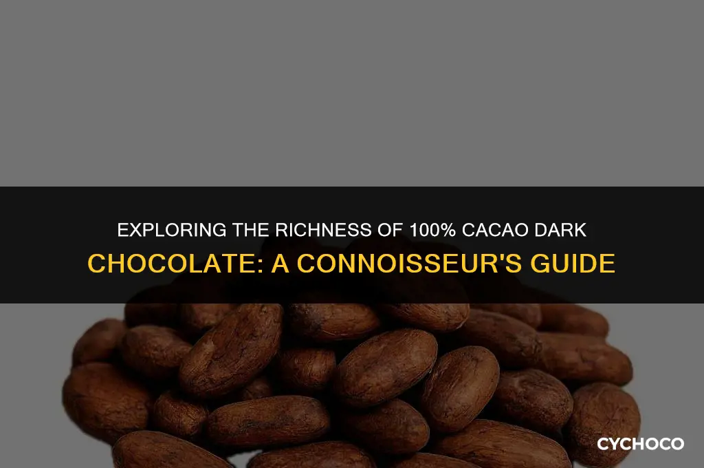 is 100 cacao dark chocolate