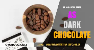 Unveiling the Richness: 100% Cocoa vs. Dark Chocolate