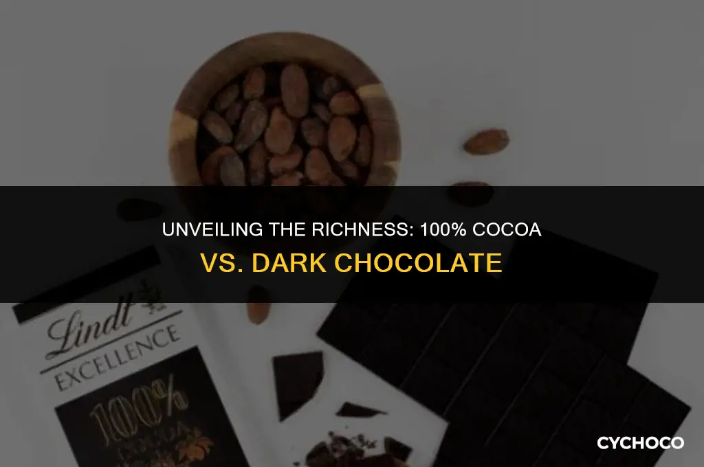 is 100 cocoa same as dark chocolate