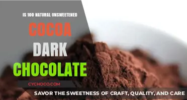Exploring the Richness of 100% Natural Unsweetened Cocoa Dark Chocolate
