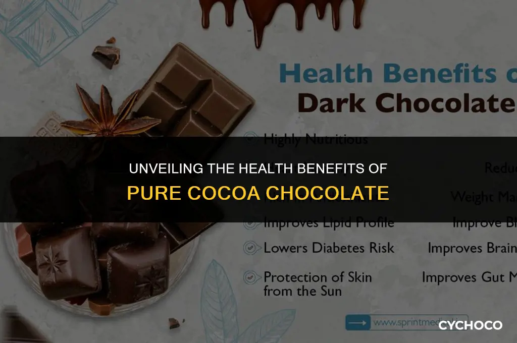 is 100 percent cocoa chocolate good for you