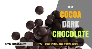 Exploring the Richness: Is 55% Cocoa Truly Dark Chocolate?