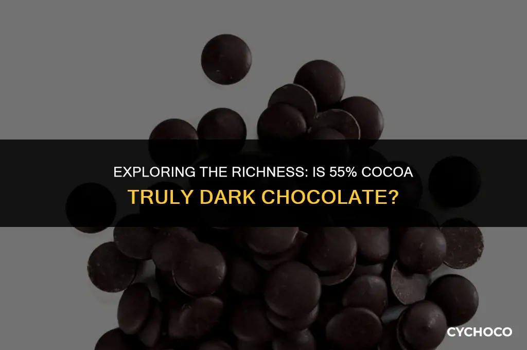 is 55 cocoa dark chocolate