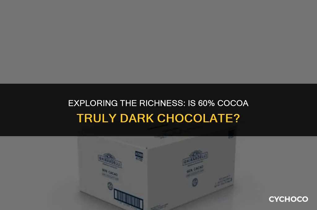 is 60 cocoa considered dark chocolate