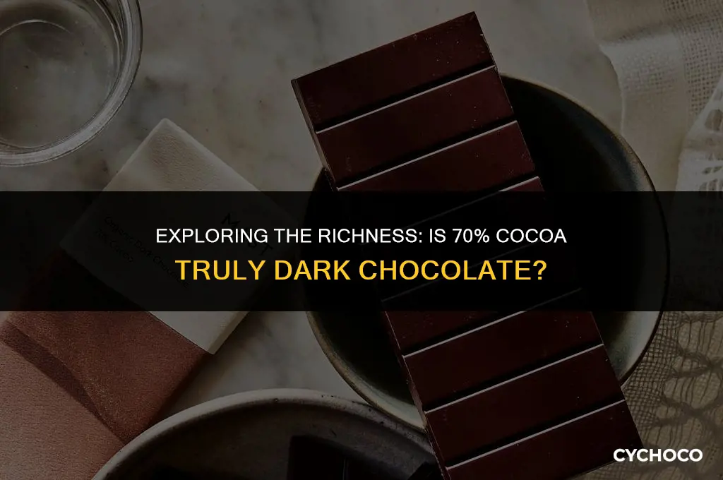 is 70 cocoa dark chocolate