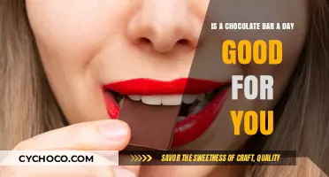 Daily Chocolate Bar: Healthy Habit or Sweet Indulgence?