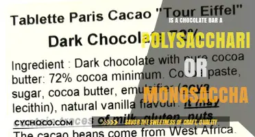 Chocolate Bar: Polysaccharide or Monosaccharide? Unraveling the Sweet Science