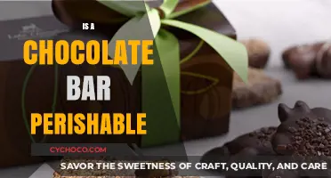 Is Your Chocolate Bar Perishable? Shelf Life and Storage Tips