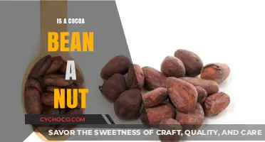 Is Cocoa a Nut? Debunking the Bean vs. Nut Myth