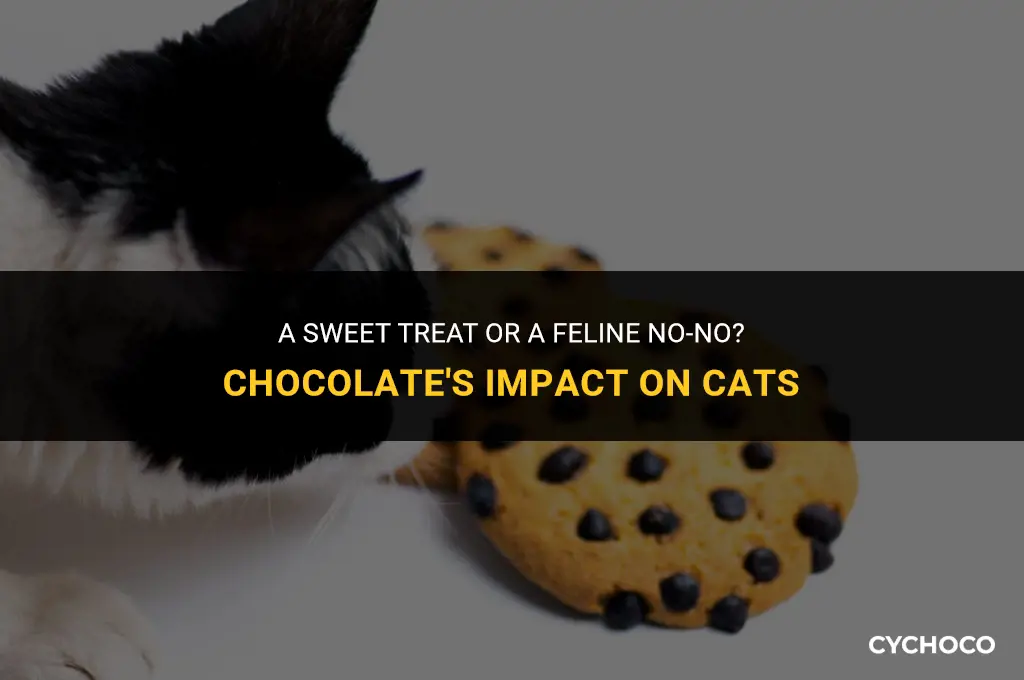 is a little bit of chocolate bad for cats