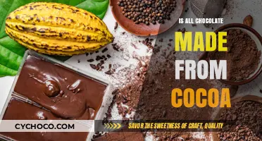 Decoding Chocolate: The Cocoa Connection Explained