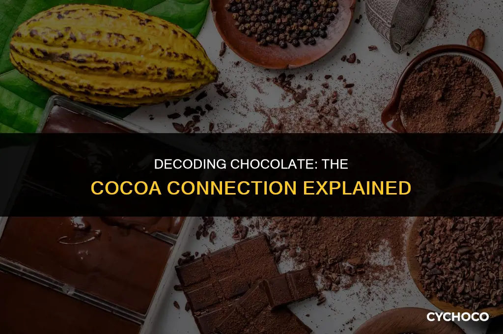 is all chocolate made from cocoa