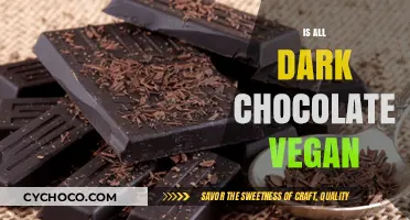 Decoding Dark Chocolate: A Vegan's Guide to Indulgence