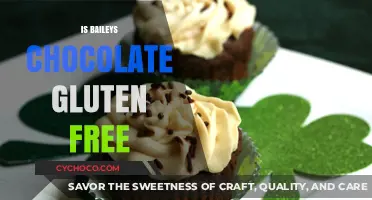 Is Baileys Chocolate Gluten-Free? A Complete Guide for Celiacs