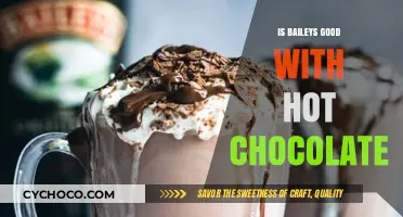 Indulgent Pairing: Baileys and Hot Chocolate - A Match Made in Heaven?