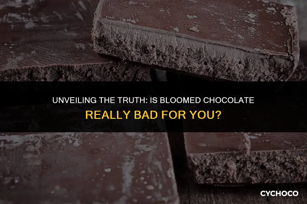 is bloomed chocolate bad