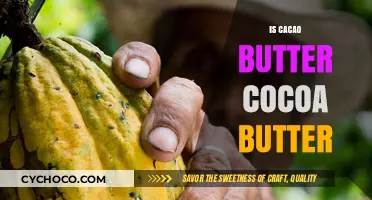 Unveiling the Truth: Cacao Butter vs Cocoa Butter