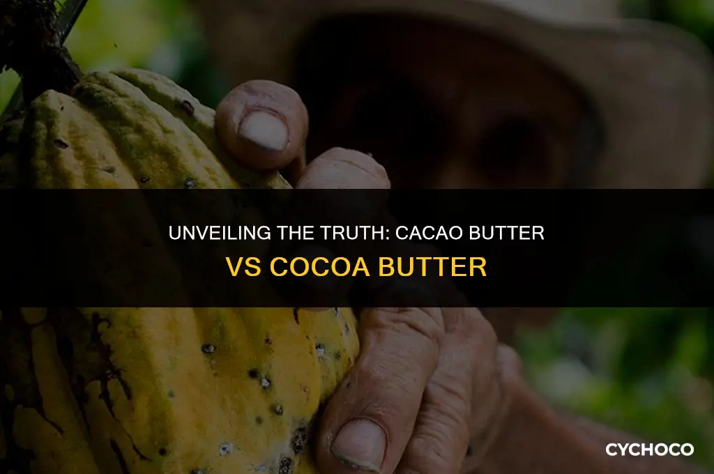 is cacao butter cocoa butter