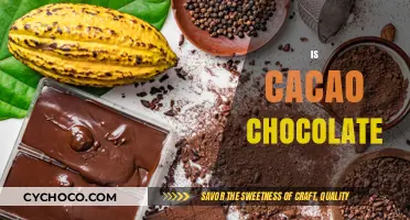 Unveiling the Sweet Truth: Cacao vs. Chocolate Explained