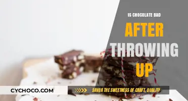 Is Chocolate Bad After Throwing Up? Expert Insights and Tips