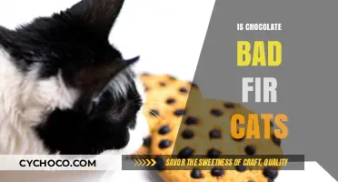 The Sweet Danger: Why Chocolate is Toxic to Cats